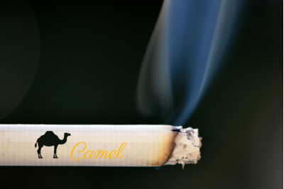 Thuốc lá Camel có những vị gì?