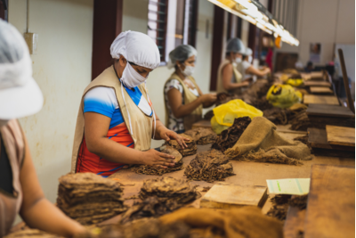 Wrapper là gì? Tìm hiểu về wrapper của xì gà