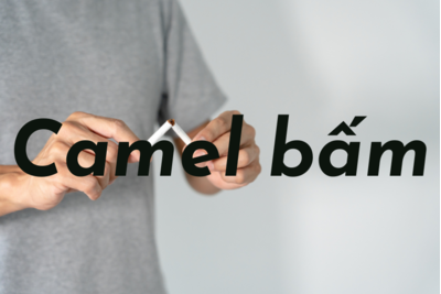 Thuốc lá Camel bấm có những vị gì?