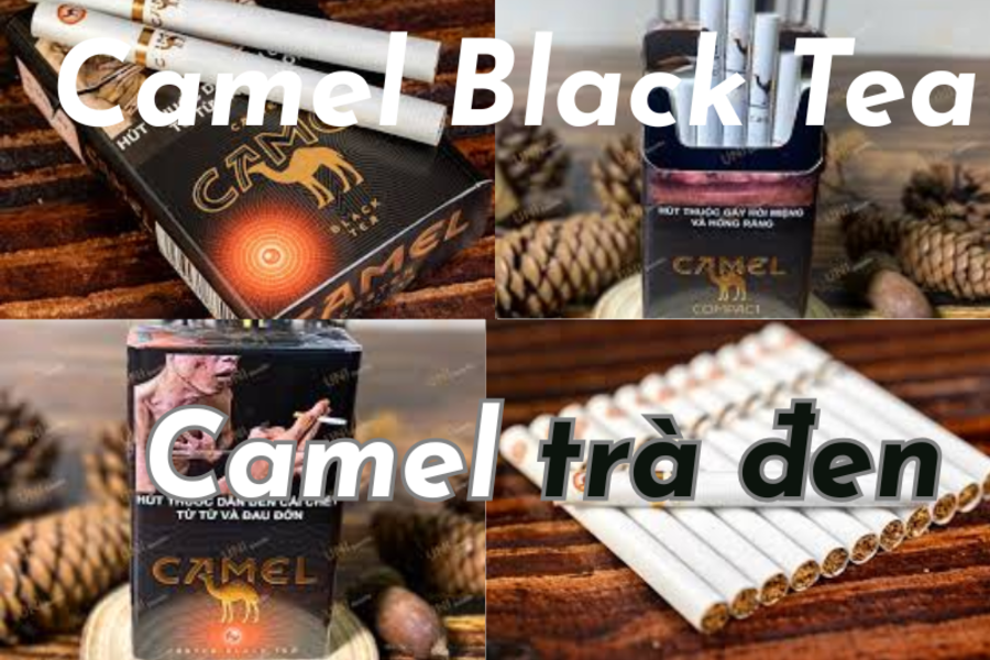Đánh giá về Camel Black Tea - Thuốc lá vị trà đen