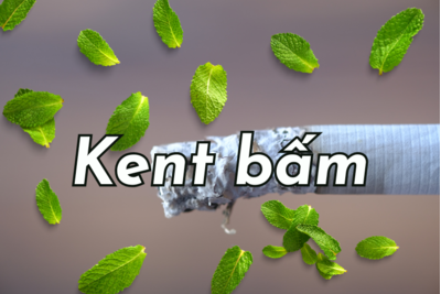 Thuốc lá Kent bấm có mấy loại? Hương vị và giá bán ra sao?