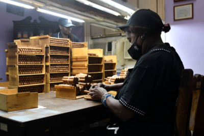 Khám Phá Hương Vị Xì Gà Cohiba: Một Bản Giao Hưởng Của Sự Tinh Tế