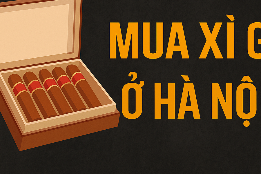 Mua Xì Gà Ở Hà Nội: Địa Chỉ Uy Tín, Kinh Nghiệm Và Cảnh Báo Cho Người Mới