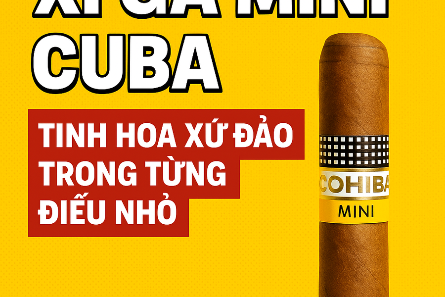 Xì Gà Mini Cuba – Tinh Hoa Xứ Đảo Trong Từng Điếu Nhỏ