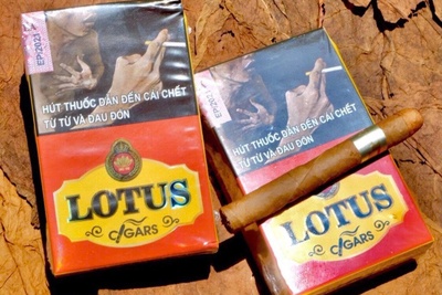 Xì Gà Lotus Vinataba Có Tốt Không? Review Chi Tiết No1, No2, No5