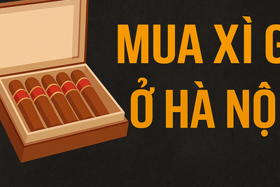 Mua Xì Gà Ở Hà Nội: Địa Chỉ Uy Tín, Kinh Nghiệm Và Cảnh Báo Cho Người Mới