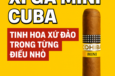 Xì Gà Mini Cuba – Tinh Hoa Xứ Đảo Trong Từng Điếu Nhỏ