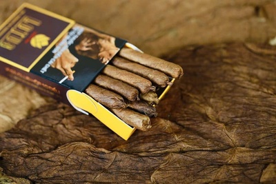 Giá Xì Gà Lotus: Mức Giá Hấp Dẫn Cho Trải Nghiệm Thượng Lưu