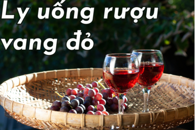 Các loại ly uống rượu vang đỏ cao cấp cần biết