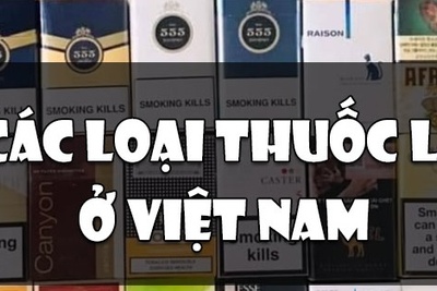 Khám Phá Các Loại Thuốc Lá Phổ Biến Nhất Ở Việt Nam: Truyền Thống và Hiện Đại