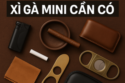 Top 7 Phụ Kiện Đi Kèm Xì Gà Mini Cần Có Cho Người Mới Chơi [2025]