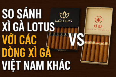 So sánh xì gà Lotus với các dòng xì gà Việt Nam khác: Lựa chọn nào cho người sành điệu?
