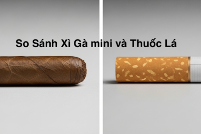 Xì gà mini và thuốc lá: So sánh chi tiết, loại nào "lợi" hơn?