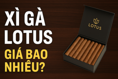Xì Gà Lotus Giá Bao Nhiêu? – Cập Nhật Bảng Giá Mới Nhất 2025