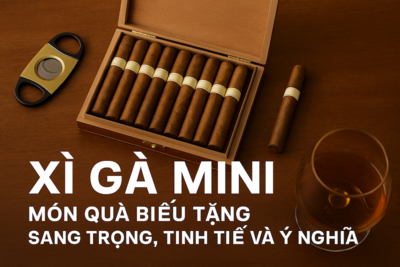 Xì Gà Mini – Món Quà Biếu Tặng Sang Trọng, Tinh Tế Và Đầy Ý Nghĩa