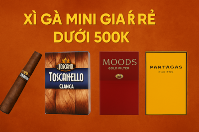 Xì Gà Mini Giá Rẻ Dưới 500k – Top Lựa Chọn Chất Lượng, Đáng Thử 2025