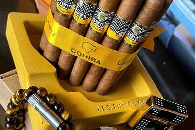 Giá Xì Gà Cohiba Các Loại Bao Nhiêu? Bảng Giá Mới Nhất 2025