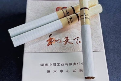 Thuốc Lá Zunshang (和天下) – Lý Do Khiến Dòng Thuốc Lá Xa Xỉ Nhất Trung Quốc Có Giá Tới Hàng Trăm Triệu