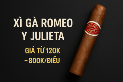 Xì Gà Romeo y Julieta Giá Bao Nhiêu Tiền Một Điếu? Bảng Giá Mới Nhất 2025