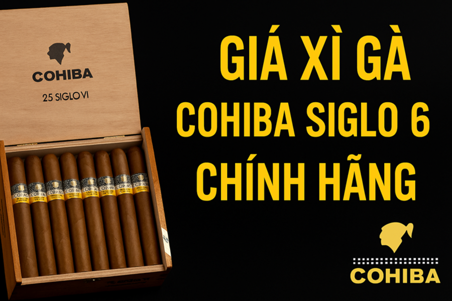 Giá xì gà Cohiba Siglo 6 chính hãng bao nhiêu? Cập nhật mới nhất 2024