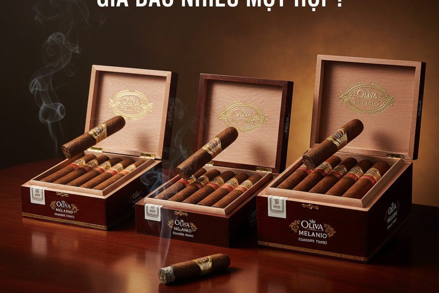 Xì gà Oliva Serie V Melanio giá bao nhiêu một hộp? Bảng giá mới nhất 2025