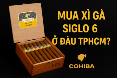 Mua Xì Gà Siglo 6 Ở Đâu TPHCM? Địa Chỉ Uy Tín & Giá Chuẩn 2025