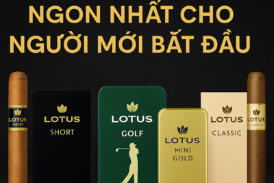 Top 5 Loại Xì Gà Lotus Ngon Nhất Cho Người Mới Bắt Đầu