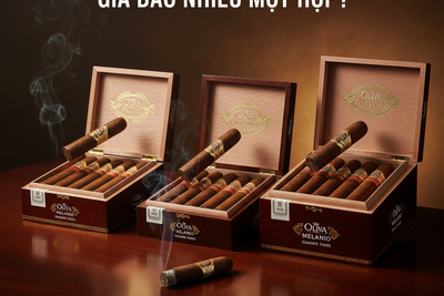 Xì gà Oliva Serie V Melanio giá bao nhiêu một hộp? Bảng giá mới nhất 2025