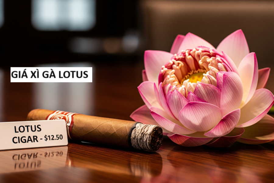 Thuốc Lotus – Thương Hiệu Quốc Dân Với Giá Cả Hợp Lý