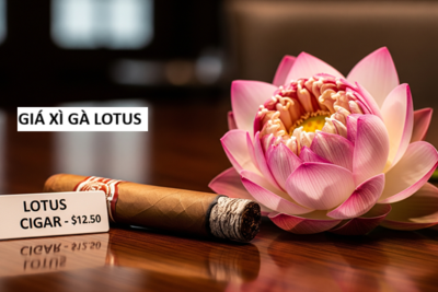 Thuốc Lotus – Thương Hiệu Quốc Dân Với Giá Cả Hợp Lý