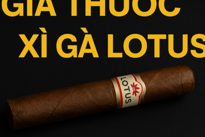 Giá Thuốc Xì Gà Lotus Mới Nhất 2025 | Bảng Giá & Địa Chỉ Mua Uy Tín