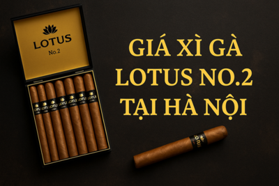 Giá Xì Gà Lotus No.2 Chính Hãng Tại Hà Nội
