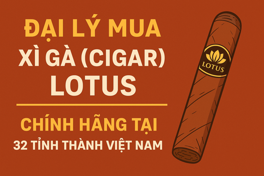 Đại Lý Mua Xì Gà Lotus Chính Hãng Tại 32 Tỉnh Thành Việt Nam