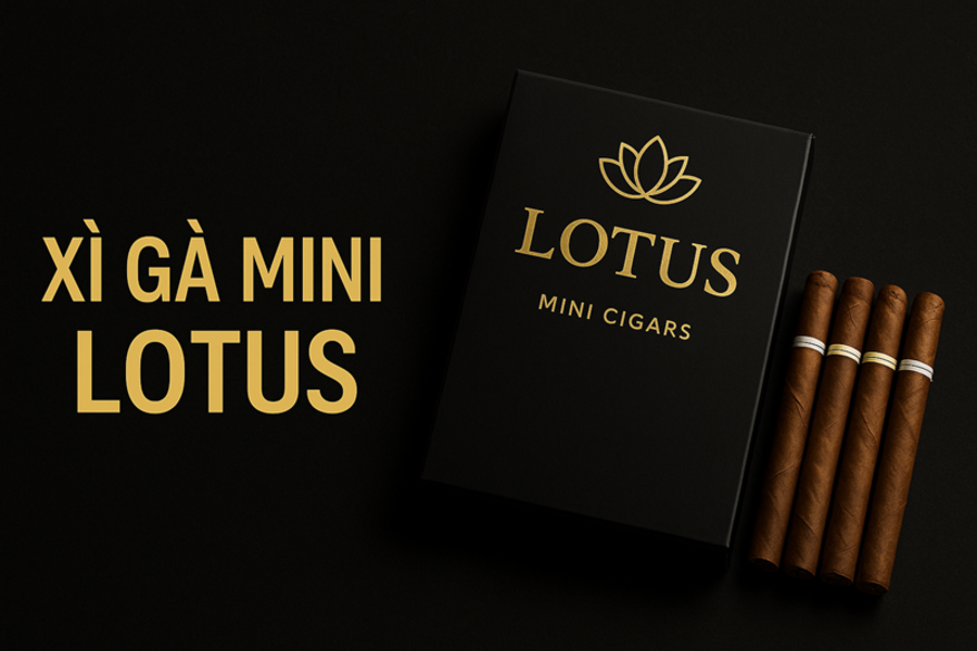Xì Gà Mini Lotus – Hương Vị Việt Đẳng Cấp, Giá Tốt, Chính Hãng 2025