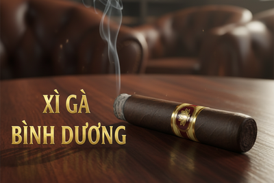 Xì Gà Bình Dương – Mua Xì Gà Chính Hãng Uy Tín, Giá Tốt Nhất