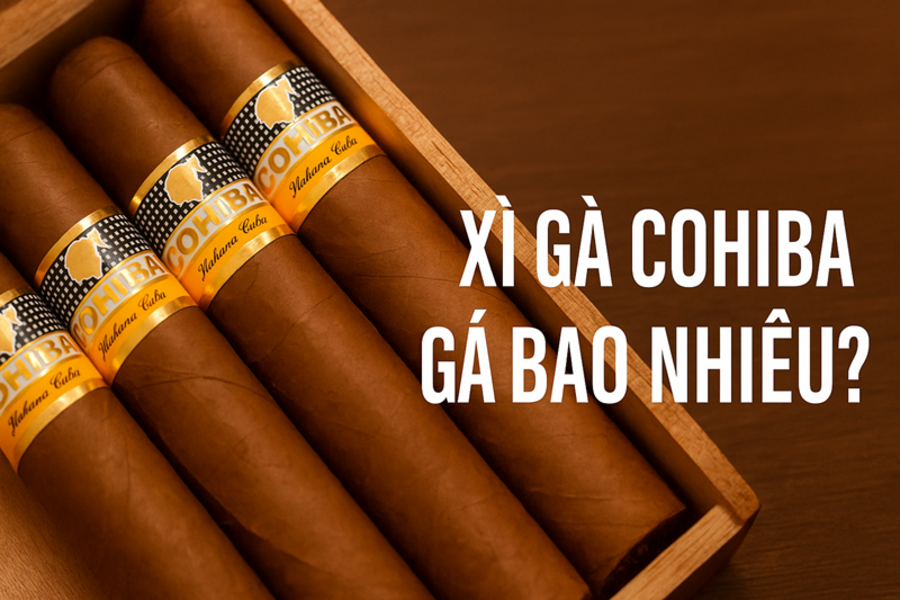 Xì Gà Cohiba Giá Bao Nhiêu? Bảng Giá Cập Nhật Mới Nhất