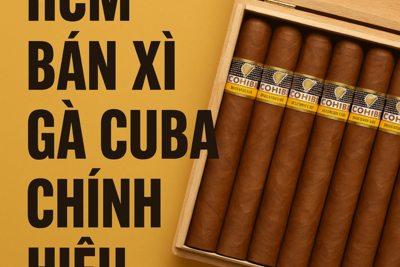 HCM Bán Xì Gà Cuba Chính Hiệu – Địa Chỉ Uy Tín Thegioicigar.vn & Choixiga.vn