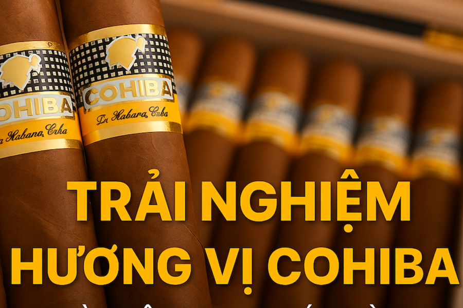 Review chi tiết các dòng Cohiba nổi bật