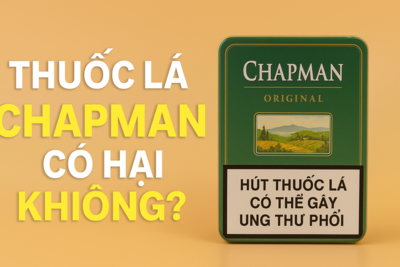 Thuốc Lá Chapman Có Hại Không? Phân Tích Rủi Ro Sức Khỏe Chi Tiết