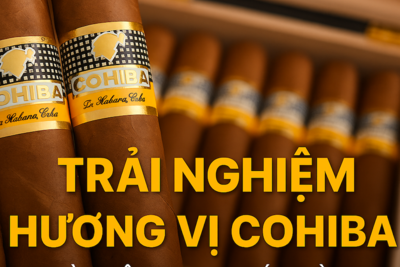Review chi tiết các dòng Cohiba nổi bật