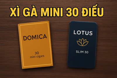 Xì Gà Mini 30 Điếu – Lựa Chọn Tinh Tế Cho Người Yêu Thưởng Thức