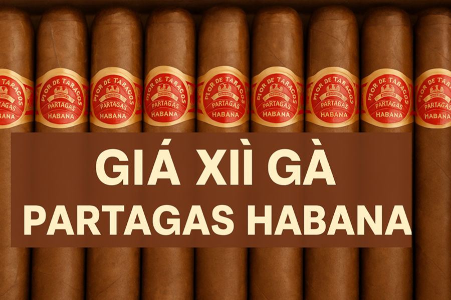 Giá Xì Gà Partagas Habana – Cập Nhật Mới Nhất 2025