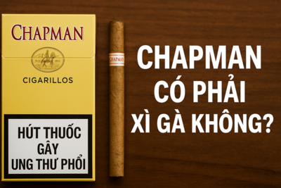 Chapman Có Phải Xì Gà Không? Sự Thật Về Thương Hiệu Chapman
