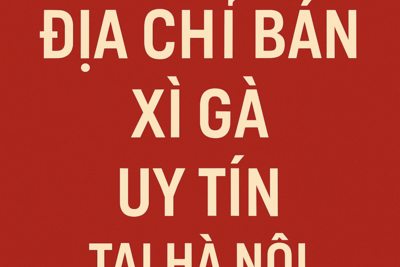 Địa Chỉ Bán Xì Gà Uy Tín Tại Hà Nội – Top Lựa Chọn Cho Người Sành Cigar