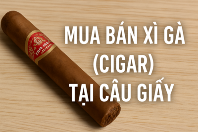 Mua Bán Xì Gà (Cigar) Tại Cầu Giấy – Địa Chỉ Uy Tín Cho Người Sành Thưởng Thức