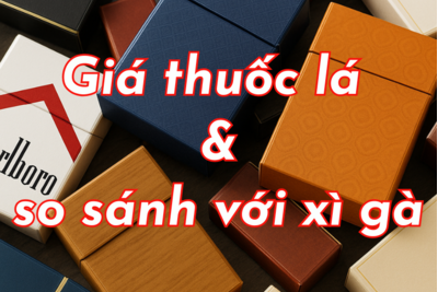 Cập nhật giá thuốc lá mới nhất 2025 và so sánh với xì gà nổi tiếng