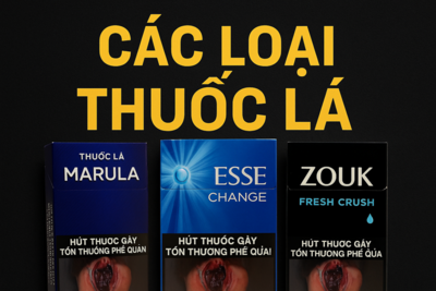 Các Loại Thuốc Lá Thơm, Ngoại, Marula, Bấm – Siêu Thị Thuốc Lá Uy Tín