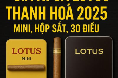 Giá Xì Gà Lotus Thanh Hóa Mới Nhất – Lotus Mini, Hộp Sắt, 30 Điếu