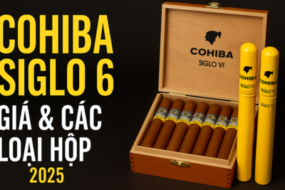 Xì Gà Cohiba Siglo 6 – Giá & Các Loại Hộp (1, 3, 5, 10, 15, 25 Điếu, Tubos)