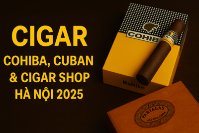 Cigar Cohiba Cigars, Cuban Cigars & Cigar Shop Hà Nội